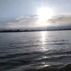 albertcoley3 - @albertcoley3 - TikTok
