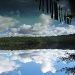Albert Comas - @comaspd - Instagram