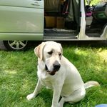 Albert Comas - @thenona03 - Instagram