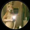albertoconde - @albertoconde2875 - TikTok