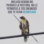 Alberto Cordero - @alberto.cordero.568847 - Instagram