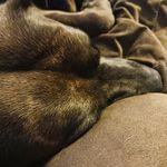 Talbert Craven - @talbertcraven - Instagram