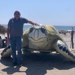 Luis Alberto Decuir - @luisalbertodecuir - Instagram