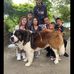 Albert Deguzman - Facebook