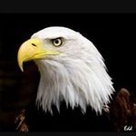 Albertus Dehart - @dehartalbertus - Instagram