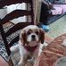 Alberta Deiter - Facebook