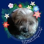 Albert Renée Delattre Eloir - @delattreeloir - Instagram