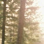 Albert Delcambre - @albert70900 - Instagram