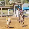 Albert Delfino - @albert.delfino77 - TikTok