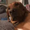 Delia Albert - @delia.albert - TikTok