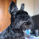 Daniel Alberto De Lucca - @danielalbertodelucca - Instagram