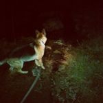 Dello Demange - @martinezcarlosalbertogranda514 - Instagram