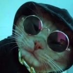 Albert Demers - @lookout95_ - Instagram