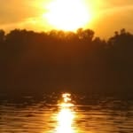 Albert Lihachev - @albert_8215_lihachev_demeter - Instagram