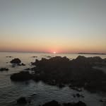 Albert Denavier - @albert.denavier - Instagram