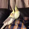 Alberto Deniz - @albertodeniz22 - TikTok