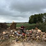 Albert Dennison - @albert.dennison - Instagram