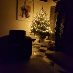 Albert De Pauw - @albertde.pauw - Instagram