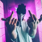 Albert der Gentleman - @albertdergentleman - Instagram