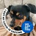 Albert DeSantis - Facebook
