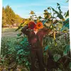 Amber DeSisto - @amberdesisto - TikTok