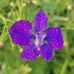 Albert Desmarais - Facebook