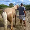 Souza 01 - @albert.de.souza.r - TikTok
