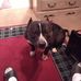 Albert Devoe - Facebook