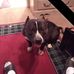 Albert Devoe - Facebook