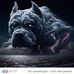 Albert Dewit - Facebook