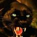 Albert Diano - Facebook