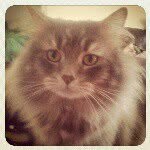 @albert_dibnah - Instagram