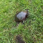 Albert Dickson - @albertdickson567 - Instagram