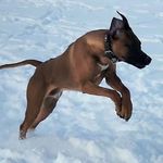 Albert Dickson - @better.way.boise - Instagram