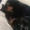 alberto difonzo - @albertodifonzo - TikTok