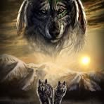Albert Dillon - Facebook