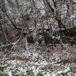 Albert Dinu - @albert.dinu.522 - Instagram