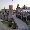 Albert Dion - @albert.dion1 - TikTok