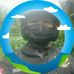 Albert Toar - Facebook