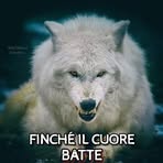 Albert Di Santo - Facebook