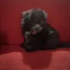 Albert Valentino - @albert.valentino73 - TikTok
