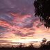 Albert Dodson - Facebook