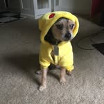 Albert Edwards - @natsu_and_chewbacca - Instagram