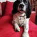 Albert Elliott - Facebook