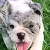 Albert Elliott - @albert.elliott5 - TikTok