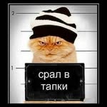 Альберт Эппингер - @alberteppinger - Instagram