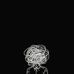Alberto Einstein - Facebook