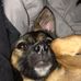 Albert Faulkner - Facebook