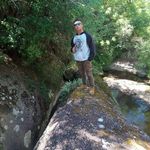 Albert Fernandes - @albert.fernandes.75033149 - Instagram