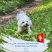 Albert Fritz - Facebook